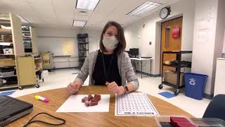 Multiplication Conceptual Understanding & Fluency through Skip Counting & Partial Products