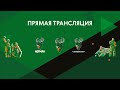 2 полуфинал "Оргхим - Первенство России зона "Приволжье". Юноши 2003-04 г.р.