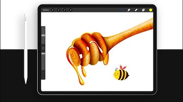 Honey 🍯iPad Realistic Painting 🐝 Procreate tutorial | by Anjee