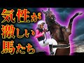【競馬】気性が激しい馬。その実力は本物なのでしょうか?