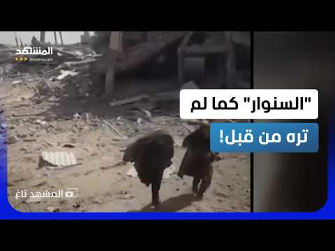 Sinwar as you've never seen him before.. New Al-Qassam footage sets social media on fire! - Al-Ma...