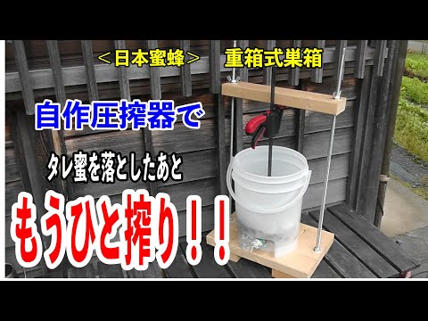 日本蜜蜂：重箱式巣箱 ＞ タレ蜜を落としたあと、もうひと搾り！ #蜂蜜