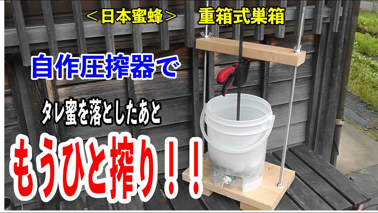 日本蜜蜂：重箱式巣箱 ＞ タレ蜜を落としたあと、もうひと搾り！ #蜂蜜