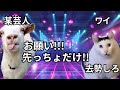 【猫ミーム】クラブでナンパしてきた某芸人が爆臭だった話＃猫マニ＃猫ミーム
