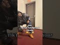 ЁЯШФЁЯТ ЁЯд ЁЯП тАНтЩВя ПЁЯШВ Bt WE BACK Pov Funnyvideo Comedyskit Laugh Relatable FypуВ Tiktoker HURT ЁЯШФЁЯТ ЁЯд ЁЯП тАНтЩВя ПЁЯШВ Bt WE BACK Pov Funnyvideo Comedyskit Laugh Relatable FypуВ Tiktoker HURT