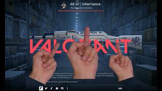 CS2 Case Opening - AK!