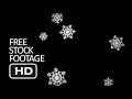 Free Stock Footage - Falling Snowflakes Black Background