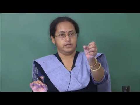 Bio class11 unit 20 chapter 02  human physiology-neural control and coordination  Lecture -2/3