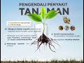 Manfaat ecosida untuk tanaman