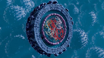 CARGO: A breakthrough in gene therapy for SMA & genetic diseases - Brian Newsom project