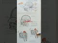 Sistemul digestiv. #medicalstudent #medical #medicina