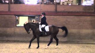 Download Lagu Jolanda Jonker - de Keijzer met Armani ZZ-Licht 1e proef OVJ MP3