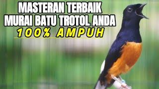 MASTERAN MURAI BATU GACOR FULL TEMBAKAN PANJANG,SEKALI PANCING MURAI ANDA IKUT BONGKAR ISIAN