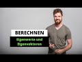 Eigenwerte und Eigenvektoren berechnen + wichtige Eigenschaften von EW&EV