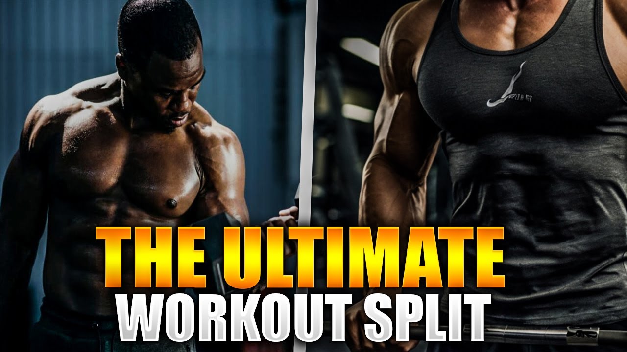 🔥 Best Workout Split for Muscle Gain & Fat Loss (Backed by Science ...