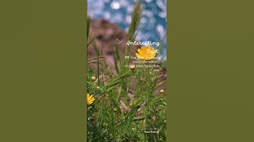 "Visual Power: Your Brain Processes Visuals 60,000 Times Faster Than Text!" #factshorts #humanbrain