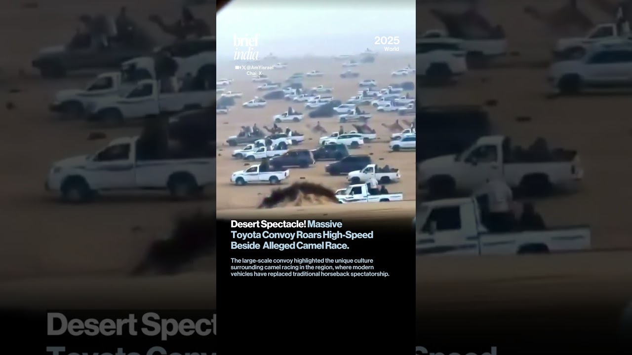 Massive Toyota Convoy Seen Accompanying Camel Race in Egypt.