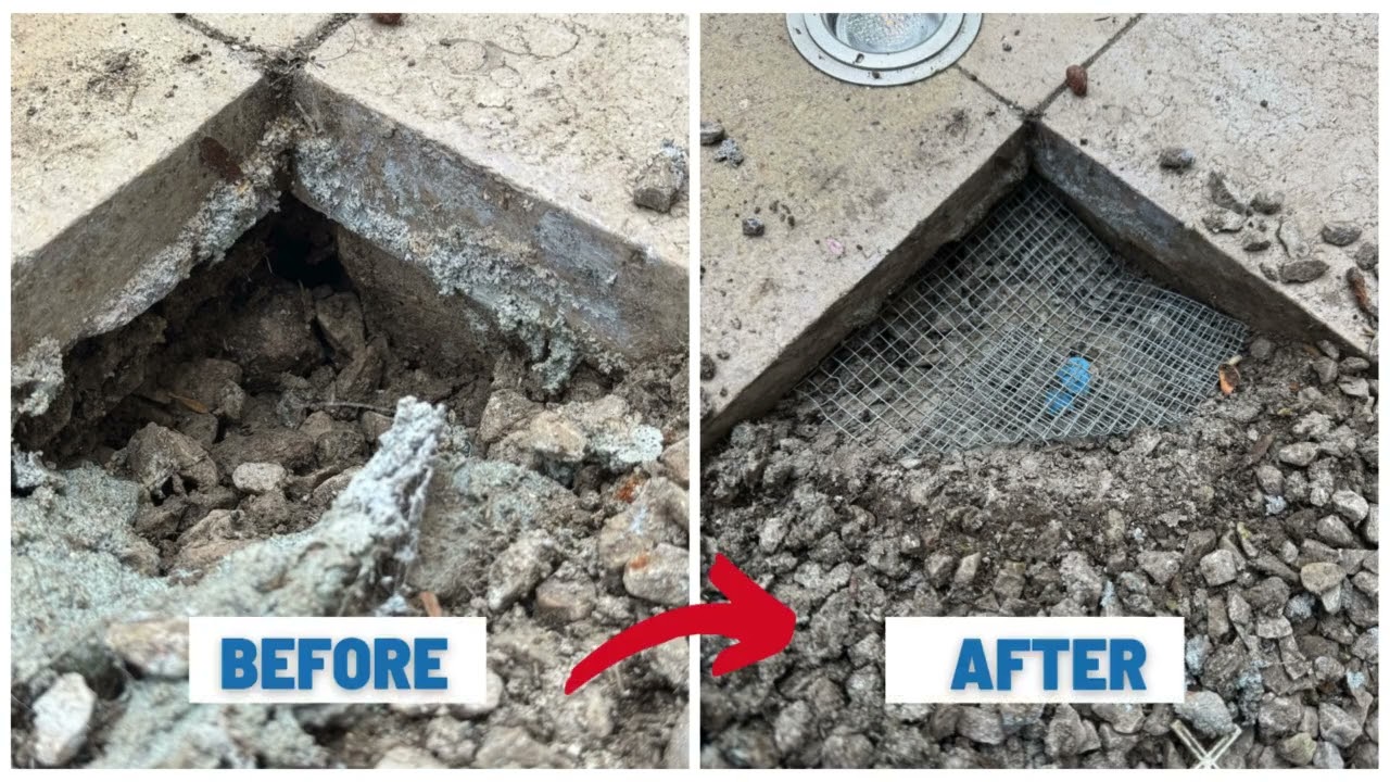 Rodent Proofing in London | Before & After Pest Control Transformation