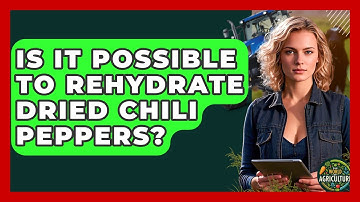 Is It Possible To Rehydrate Dried Chili Peppers? - The World of Agriculture