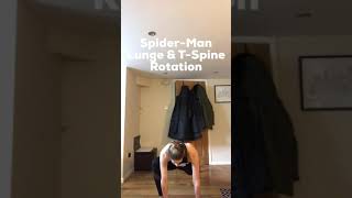 Spiderman Lunge with T Spine Rotation