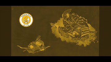 "Operationalizing the CARE Principles in repositories" Lightning Talk by Ruth Duerr @Ronin Ins. 2023