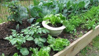 Grow More Give More: Planting a Raised Bed Garden