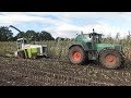 Claas Jaguar 690 stuck in the mud!