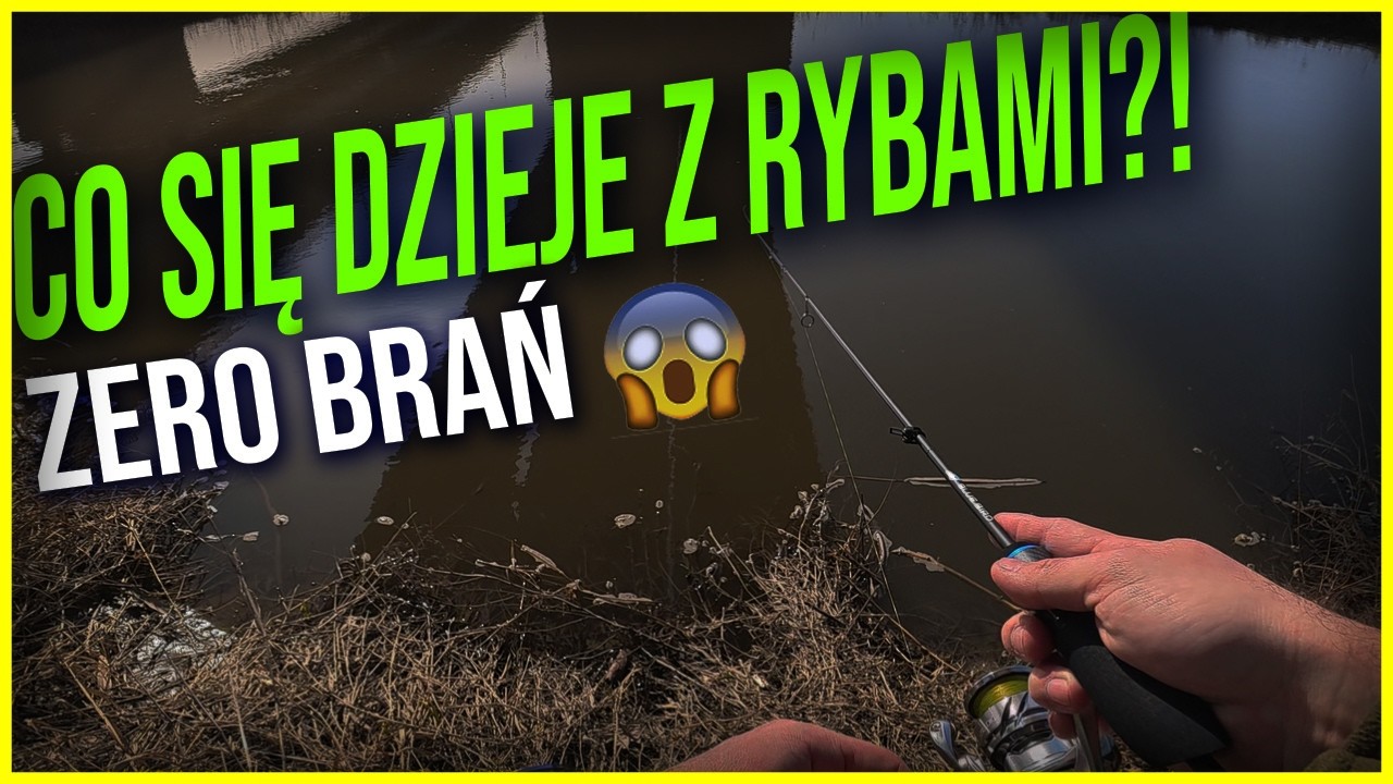 Idealna pogoda nad Wisłą… a ryby? ZERO BRAŃ 🎣
