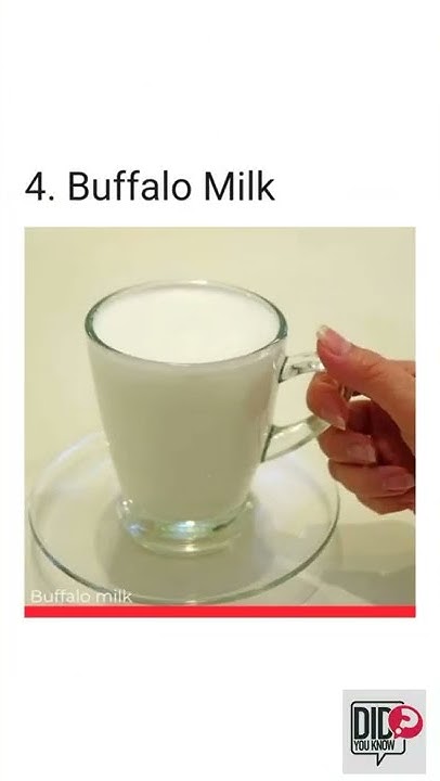 top-5-most-expensive-milk-in-the-world-shorts-animal-viral-milk