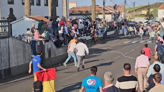 Tourada à corda in Altares, 1 June 2025