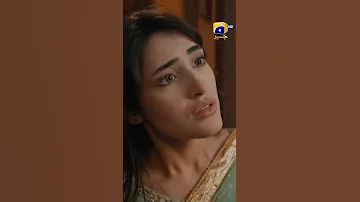 Apni Jaan Kyun Khatre Mein Daal Rahe Ho Tabrez Ishqhua Shorts 