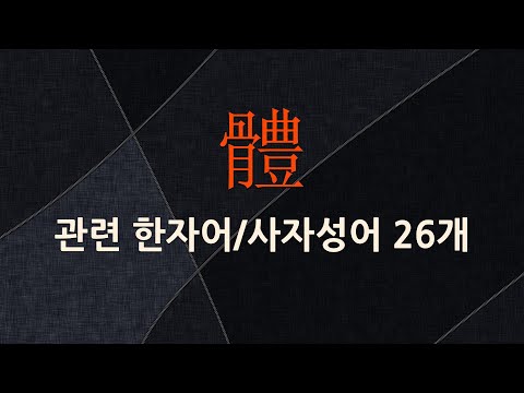 體(몸 체)에 관한 한자어/사자성어 26개