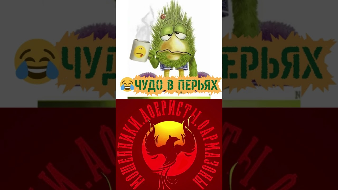 😆😆 ЧУДО В ПЕРЬЯХ 