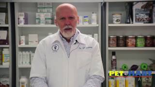 Surprising New Information About the Benefits of Vetmedin