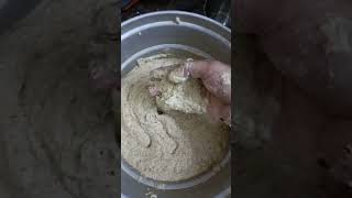 Breakfast - Navadhaniya dosai healthy recipes healthy lifestyle dietfood healthylifestyle