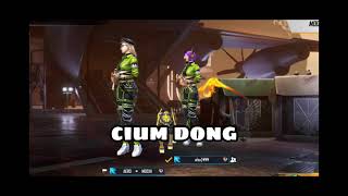 hay bang cium dong