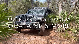 Overlanding Florida:  Ocala National Forest, AVO JAX, & More!