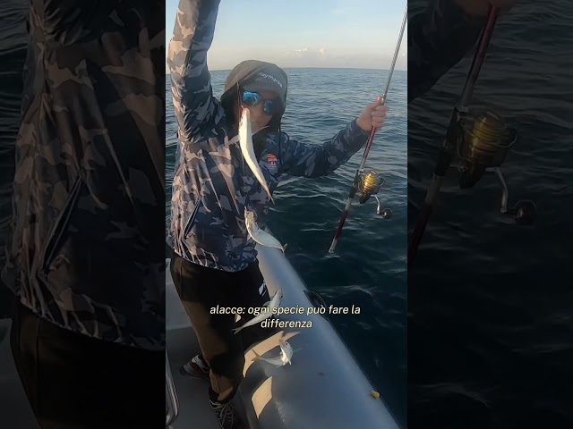 Il segreto inizia dall’esca… 🎣😉 #emilianogabriellipage #Traina #raymarine #sgombro #sabiki