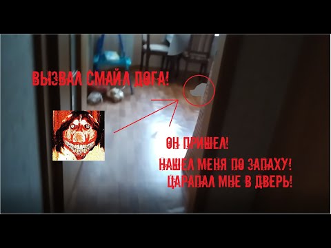 Вызов духов! Вызвал Смайл Дога! Царапался мне в дверь! ЛАЙ СОБАКИ!