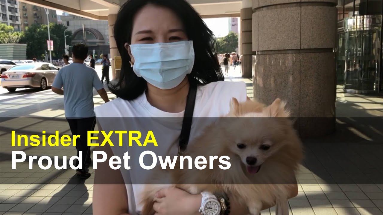 Why Taiwanese love pets Taiwan Insider on RTI YouTube