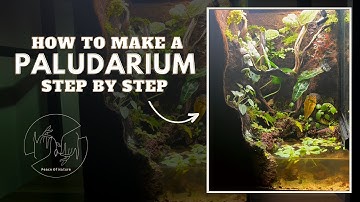 How To Build A Paludarium Step By Step (2023)