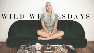 Trailer for Wild Wednesdays
