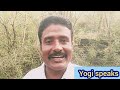பன்றி பேர அரசியல் செய்யும் புது கட்சி #tvk #josephvijay #ntk #vck #tamil #pmk #adhavarjuna #tnbjp