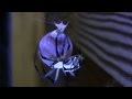 time-lapse: spider egg sac