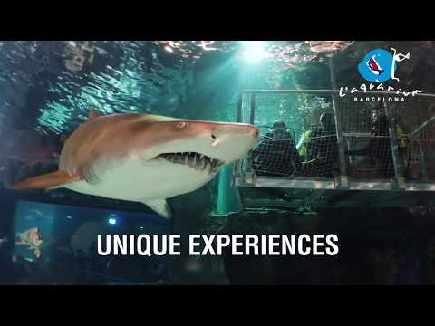 L' Aquàrium de Barcelona - DON'T MISS IT