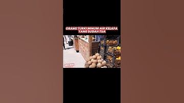 PERBEDAAN TURKI DAN INDONESIA MINUM AIR KELAPA | JUAL AIR KELAPA  TUA | AIR KELAPA MUDA | #shorts