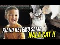 KIANO KETEMU NALA CAT, KUCING DENGAN FOLLOWER TERBANYAK DI DUNIA ‼️