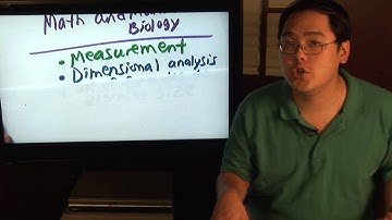 Math Lessons : Why Algebra Is Important in Marine Biology