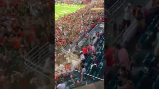 Cat Falls From Miami Stadium Roof And Saved By American Flag