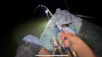 Thăm Câu Đêm Gặp Phải Thứ Gì Phát Sáng Trong Rừng/ Câu Cá Cắm Trại Trong Rừng 